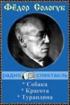 Федор Сологуб, Наталья Шолохова, Виктор Енченко - Сборник: Красота; Собака; Турандина