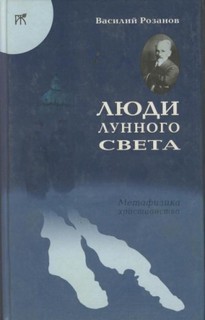 Василий Розанов - Метафизика христианства