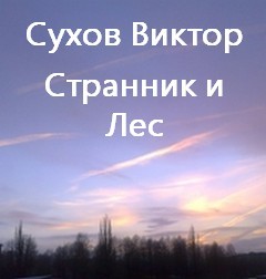 Виктор Сухов - Странник и Лес