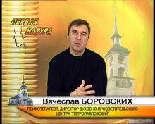 Вячеслав Боровских - Православная психология. Болезни нашего общества