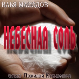 Илья Масодов - Небесная соль
