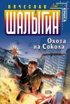 Вячеслав Шалыгин - Охота на сокола