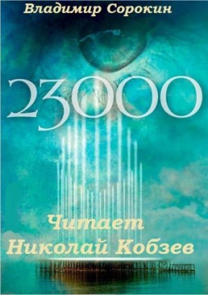 Владимир Сорокин - 23 000