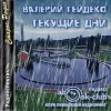 Валерий Гейдеко - Текущие дни