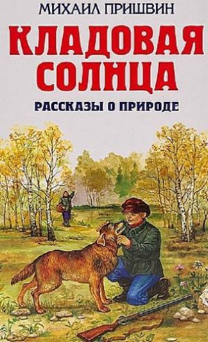 Конспект занятия «Этажи леса». Воспитателям детских садов, школьным учителям и педагогам - mountainline.ru