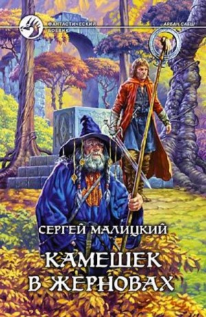 Сергей Малицкий - Камешек в жерновах