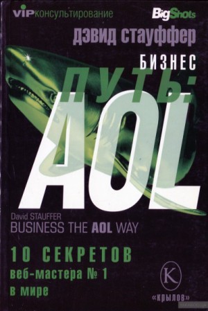 Дэвид Стауффер - Бизнес-путь: AOL.