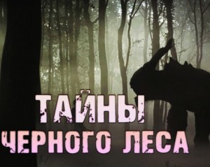 Валерий Столяревский - Тайны чёрного леса