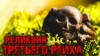 Дмитрий Чепиков - Реликвия Третьего Рейха