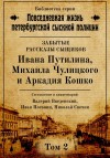 Николай Свечин, Валерий Введенский, Иван Погонин - Повседневная жизнь петербургской сыскной полиции. Том 2