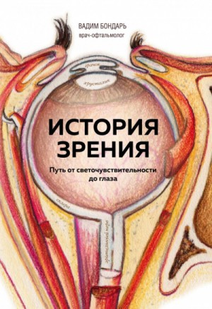 Вадим Бондарь - История зрения - путь от светочувствительности до глаза