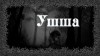 Денис Приёмышев, Ольга Цветкова - Ушша