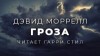 Дэвид Моррелл - Гроза