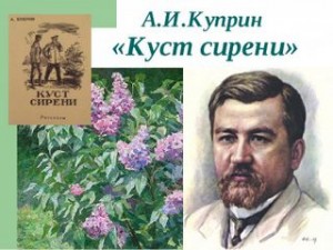 Александр Куприн - Куст сирени