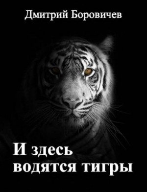 Дмитрий Боровичёв - И здесь водятся тигры