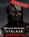 Вячеслав Митькин - S.T.A.L.K.E.R. Шахматы