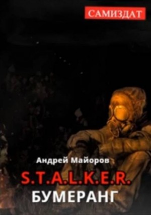 Андрей Майоров - Stalker: Бумеранг
