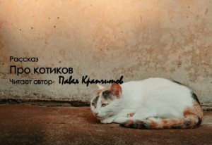 Павел Крапчитов - Про котиков-1