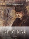 Фёдор Достоевский - Дневник писателя: 2.11. Кроткая