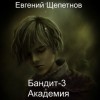 Евгений Щепетнов - Академия