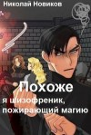 Николай Новиков - Похоже, я шизофреник, пожирающий магию 2