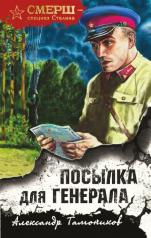Александр Тамоников - Посылка для генерала