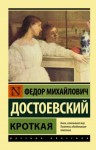 Фёдор Достоевский - Дневник писателя: 2.11. Кроткая