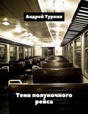 Андрей Туркин - Тени полуночного рейса
