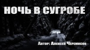 Алексей Черемисов - Ночь в сугробе