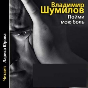 Владимир Шумилов - Пойми мою боль