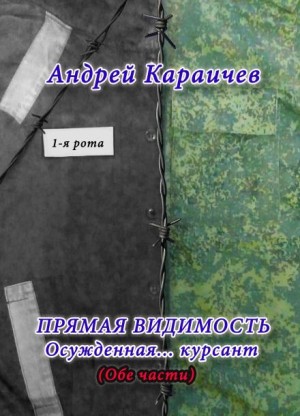Андрей Караичев,   - Прямая видимость