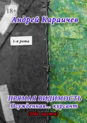 Андрей Караичев - Прямая видимость