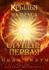 Видум Инди - Ступень первая