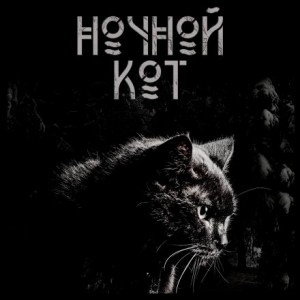 Сергей Стэн - Ночной кот
