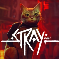 Stray